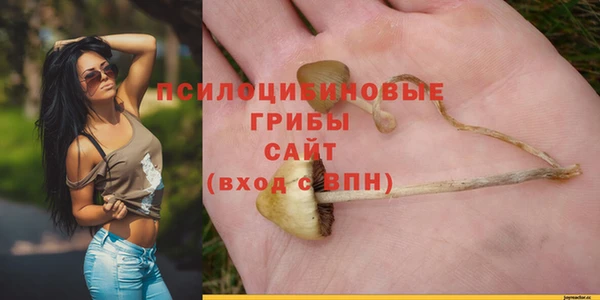 Альфа ПВП Володарск