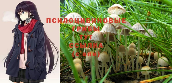 Альфа ПВП Володарск