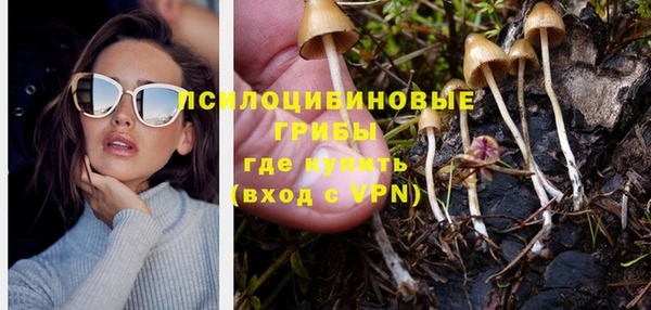 тгк Волосово