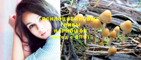 тгк Волосово
